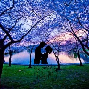 Meet your Posher, Koirtlyn